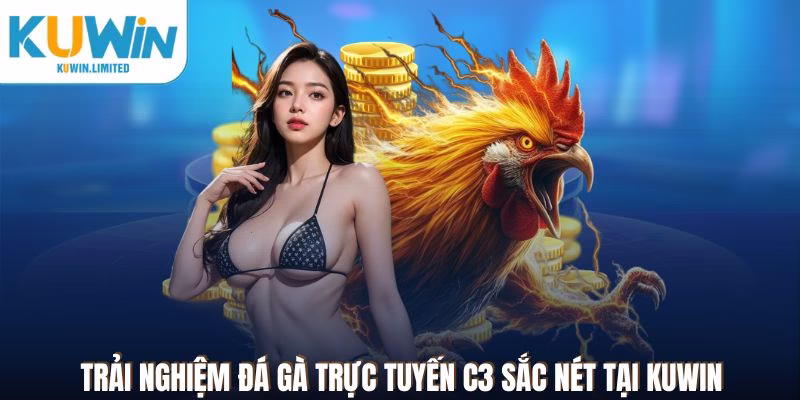 Khám phá toàn bộ về đá gà trực tiếp C3 Kuwin