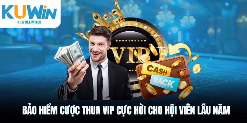 Bảo hiểm cược thua VIP cực hời cho hội viên lâu năm